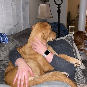 Meet your Posher, Alyssa